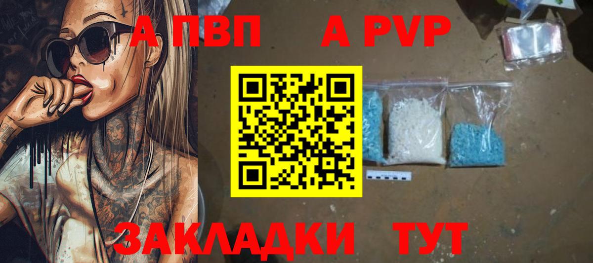 Alfa_PVP СК КРИС Хасавюрт
