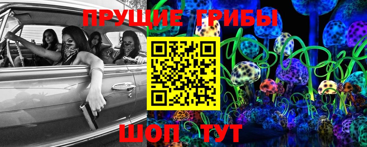Галлюциногенные грибы Magic Shrooms  купить  цена  Хасавюрт  Вход с VPN 